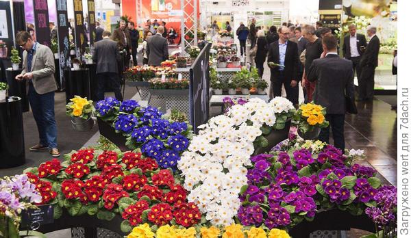 IPM 2014 в Эссене, Германия