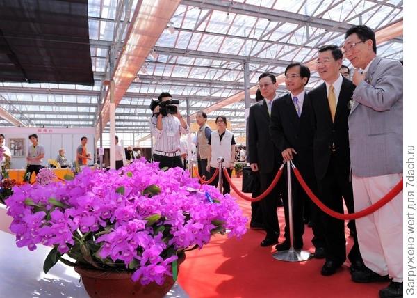 Taiwan International Orchid Show 2014