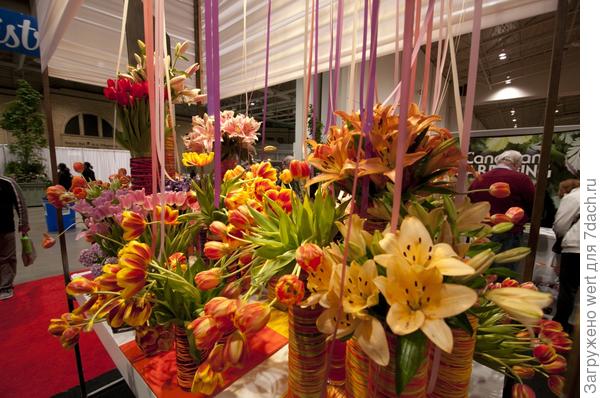 Canada Blooms