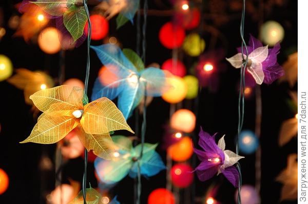 Melbourne International Flower Show