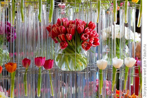 Melbourne Flower Show