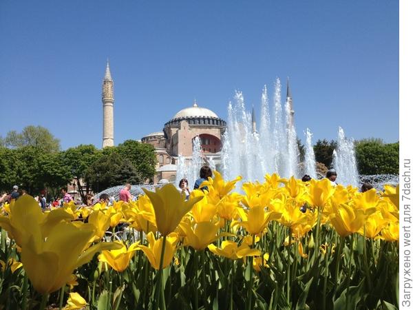 Фестиваль тюльпанов в Стамбуле, Турция