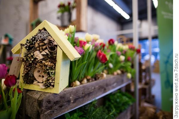 Oslo Garden Show