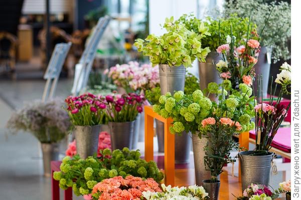 Oslo Garden Show