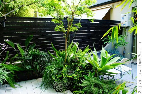 Ландшафтный дизайн