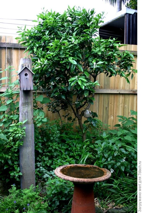 Австралийский &amp;amp;amp;amp;laquo;Рай&amp;amp;amp;amp;raquo;