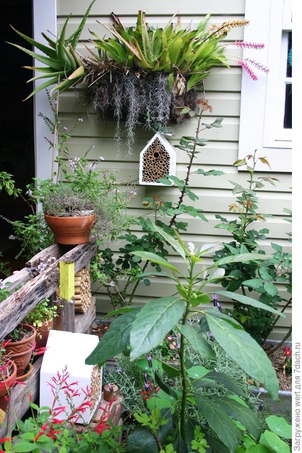 Австралийский &amp;amp;amp;amp;laquo;Рай&amp;amp;amp;amp;raquo;