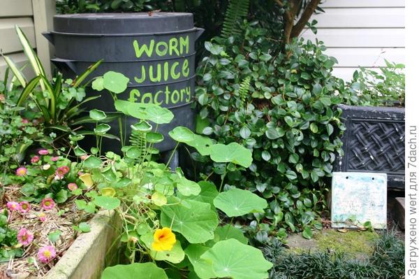 Австралийский &amp;amp;amp;amp;laquo;Рай&amp;amp;amp;amp;raquo;