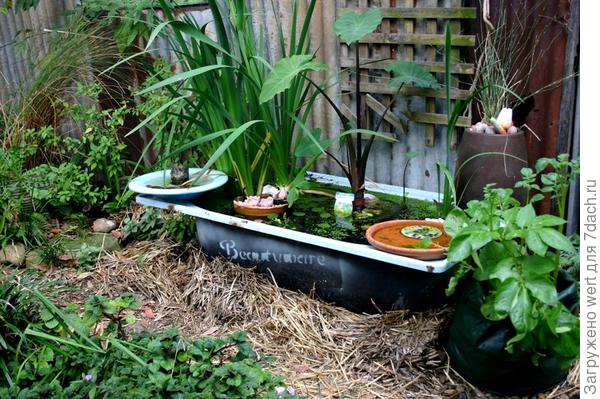 Австралийский &amp;amp;amp;amp;laquo;Рай&amp;amp;amp;amp;raquo;