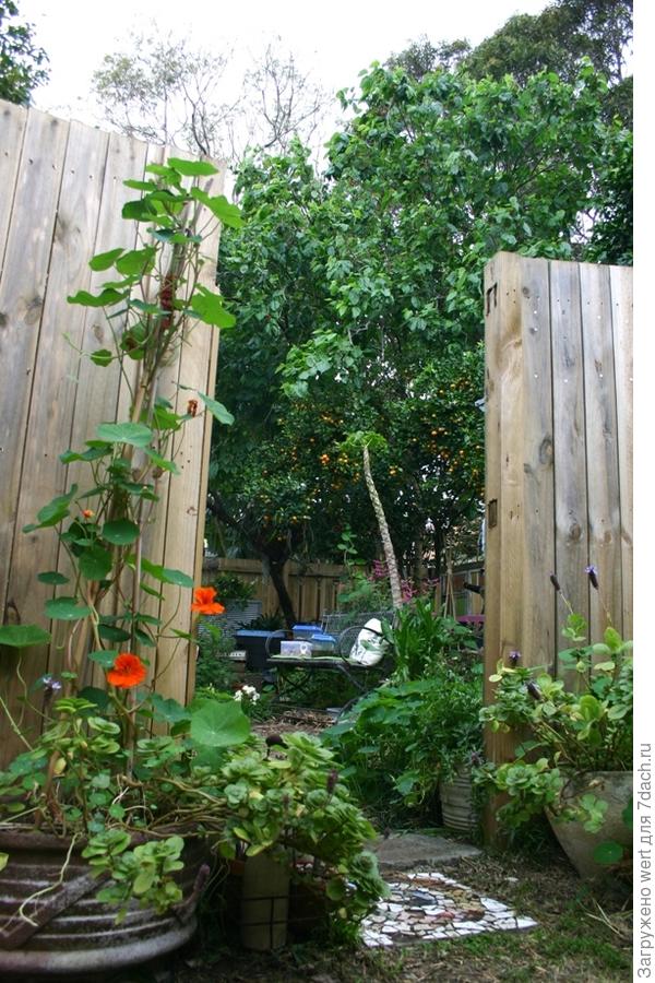 Австралийский &amp;amp;amp;amp;laquo;Рай&amp;amp;amp;amp;raquo;