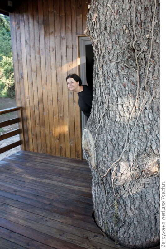 Деревянная дача