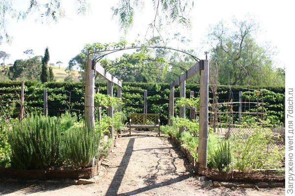 Сад и огород по-австралийски