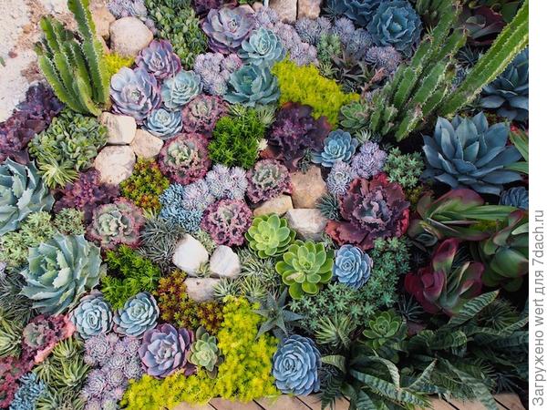 Австралийский дизайн