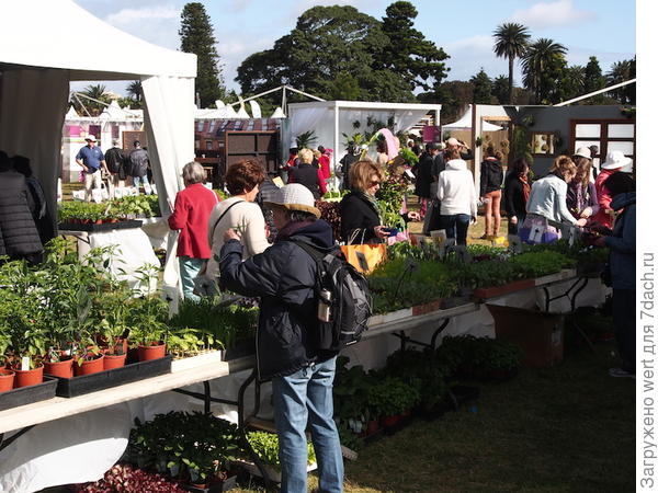 Австралийский дизайн