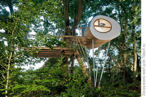 Домик на дереве