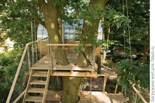 Домик на дереве