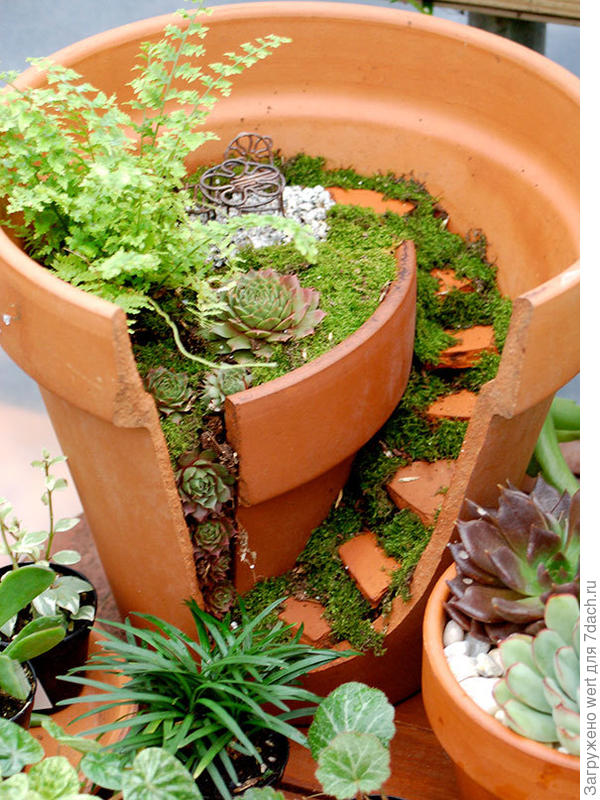 Сад в горшке