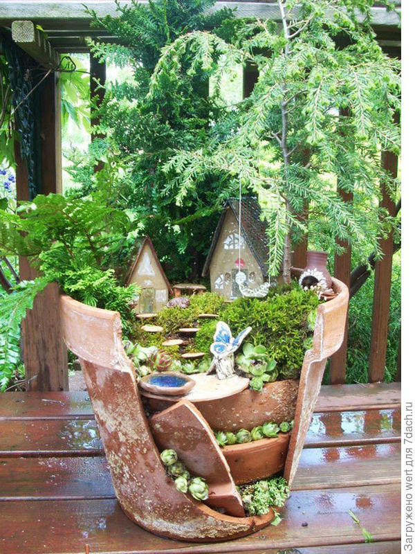 Сад в горшке