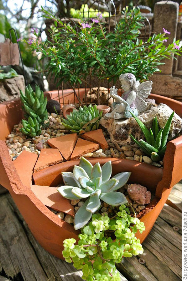 Сад в горшке