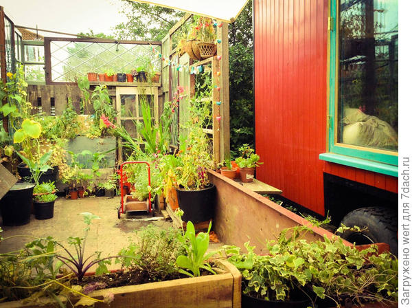 Райский дачный уголок