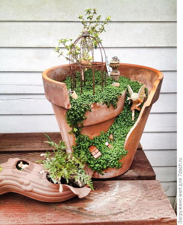 Сад в горшке