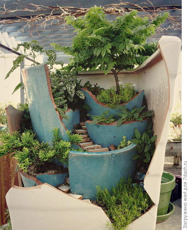 Сад в горшке