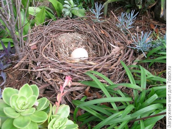 Сад Стивена Велласа