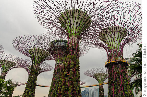Сингапурский чудо-парк