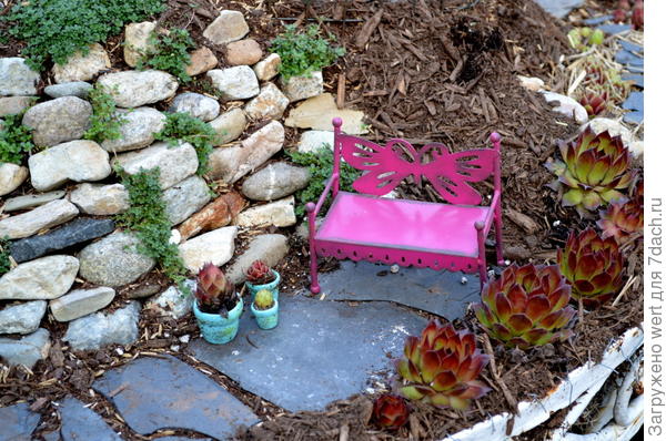 Мини-сад в горшке