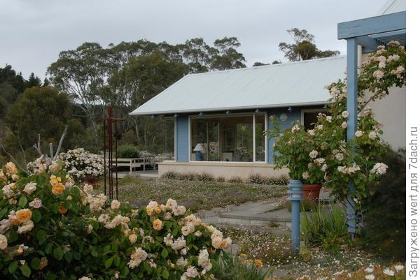 Сад Хелен МакКеррал