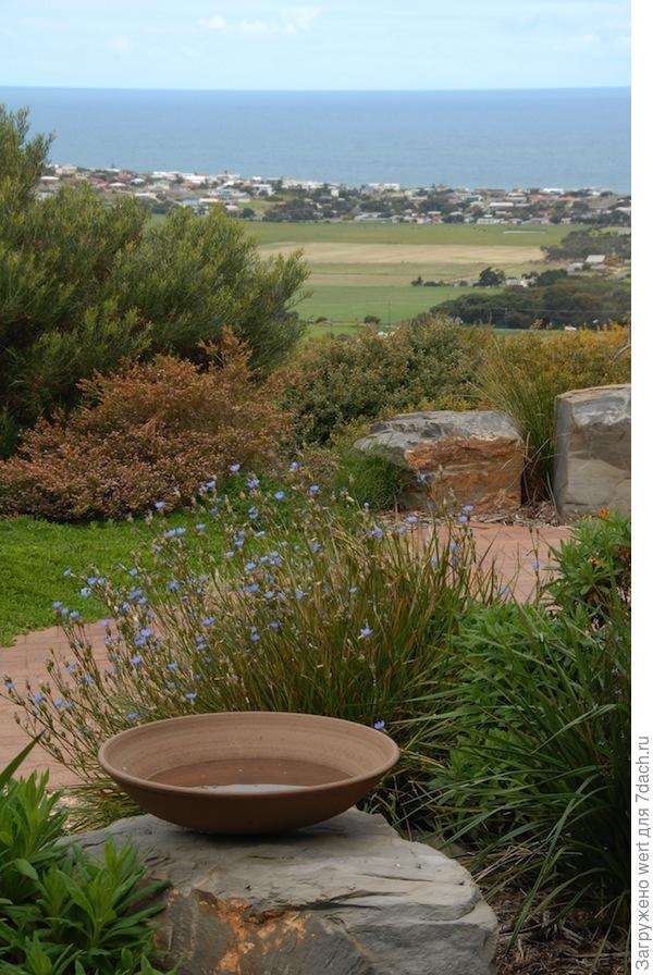 Сад Хелен МакКеррал