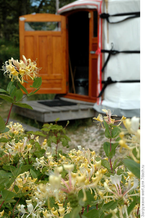 Удивительная юрта