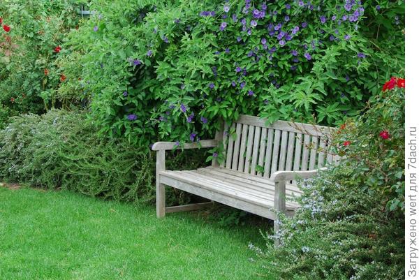 Сад Хелен МакКеррал