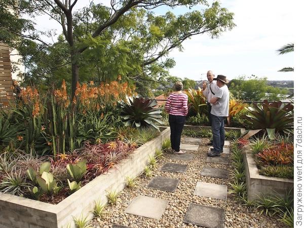 Сад на крыше