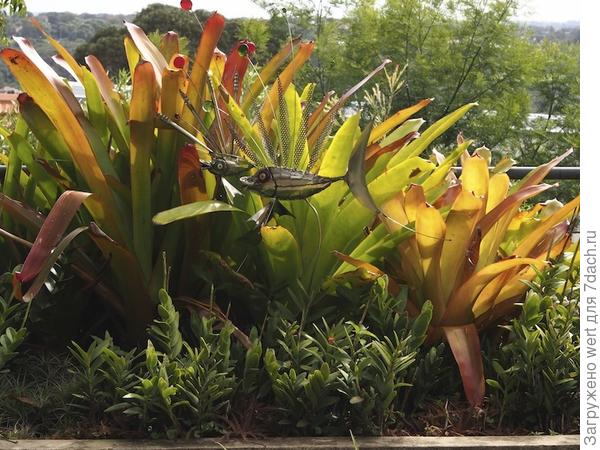 Сад на крыше