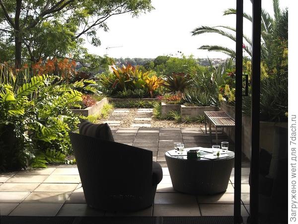 Сад на крыше