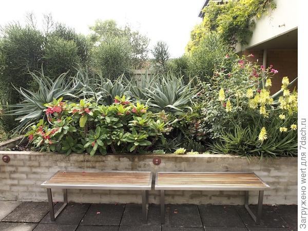 Сад на крыше