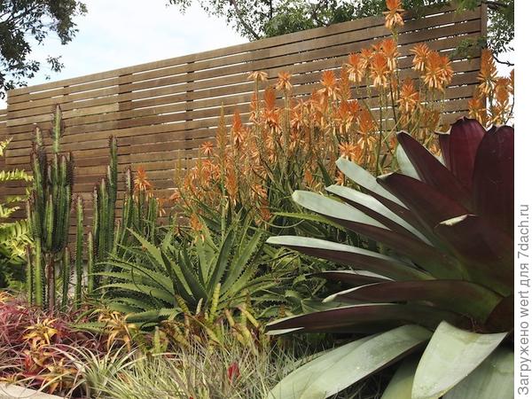 Сад на крыше