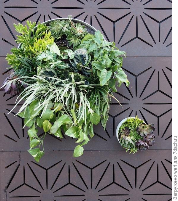 Сад Филиппа Витера