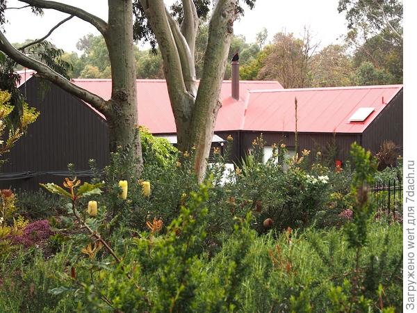 Сад в стиле натюрель