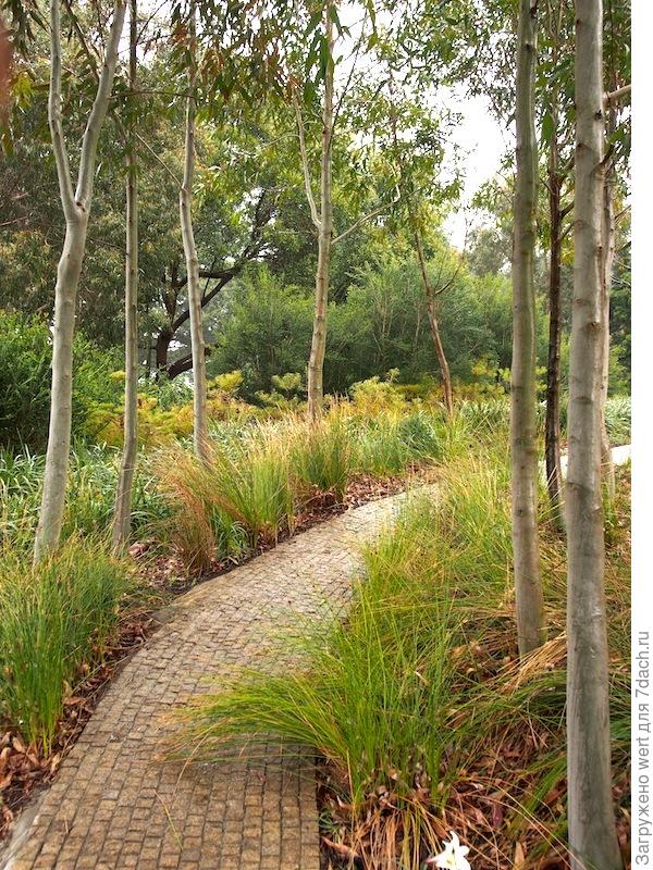 Сад в стиле натюрель