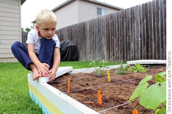 Детский мини-огород