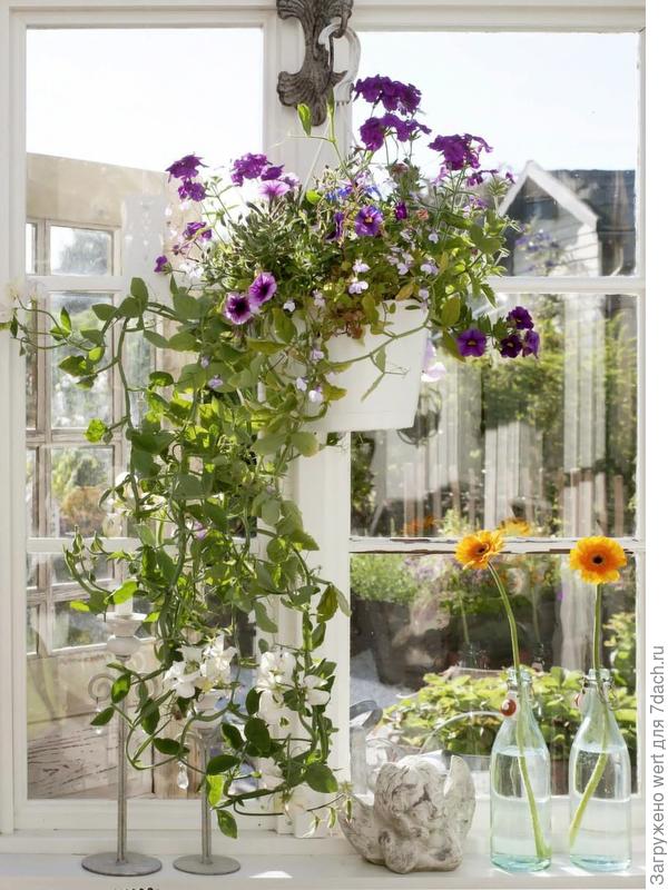 Красивая теплица