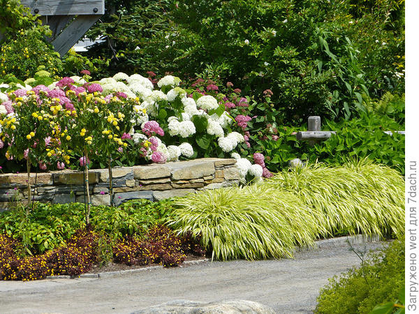 Прогулка по ботаническому саду