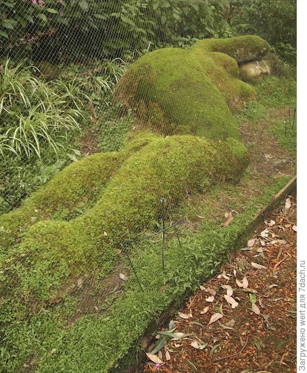 Сад в стиле натюрель