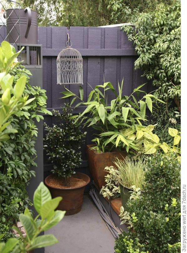 Изысканный крошечный сад Дженни Вудрафф