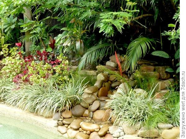 Уникальный сад в тропическом стиле