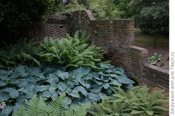 Ландшафтный дизайн по-английски