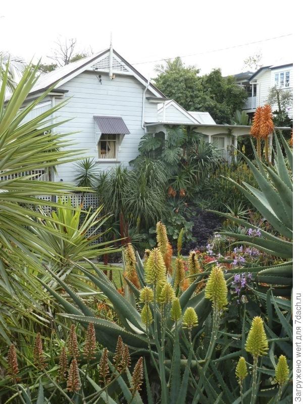 Сад алое Майкла Дента