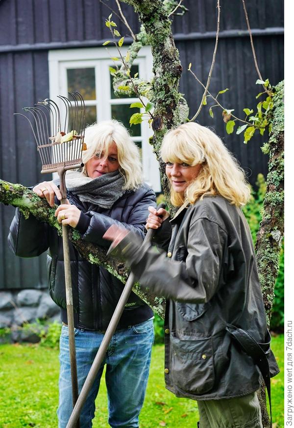 Шведский дом